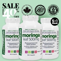프레리 내추럴스 유기농 모링가 잎 (500mg - 180 캡슐) PRAIRIE NATURALS Moringa Leaf(500 mg - 180 Veg Caps), 500mg x 180캡슐 - 3병