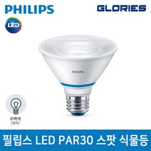 PHILIPS 식물등 PAR30 스팟 가정용 식물조명 10W 5000K, 1개