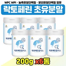 모유 락토페린 분리유청 단백질 시 부모님 온가족 물에 타먹는 락토패린 초유 파우더 WPCWPI 남자 친구 락토페린분말 농축유청 단백 쉐이크 여자 여성 엄마 30대 40대 50대, 락토페린플러스 x6통