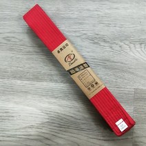 110 인치 무술 가라테 유도 태권도 전문 벨트 유도 Jiu jitsu 표준 테이프 보호용 허리띠, 10 빨간