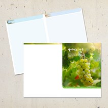 계절 디자인 주보용지 교회 순서지 예배 주보지 안내지 청년부 주일학교 교회행사 성경학교 맥추 추수감사 성탄절 사순절, EA-11