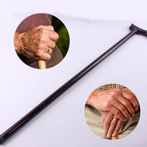 [V] 나무 지팡이 [O], 1