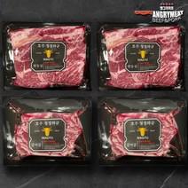 앵그리미트 명품와규 MB6+등급 와규구이세트 3호(등심 갈비살)