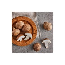 올가 제철음식 표고버섯(친환경) (250g) 신선 재료 수경 재배, 2개