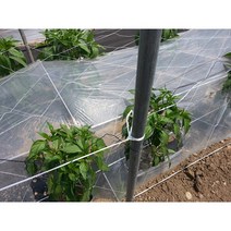 보람농자재 고추망(90cm*100M)3개, 1개