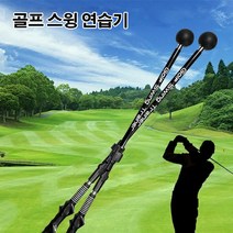 골프 스윙 연습기 자세교정기, 블루