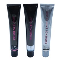 시세이도 프리미언스 엔리치 염색약 80g 산화제포함, 1개, 엔리치(새치) NB1
