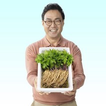 천하장사 이만기의 천하장삼 새싹삼 40뿌리, 새싹삼 80뿌리