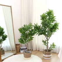 인테리어 조화 나무 인조 화분 제브라플랜트 2size, 제브라플랜트 160cm