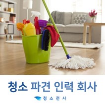 전문청소이모 석재바닥청소 목재바닥청소 카펫바닥청소 콘크리트바닥청소 전문청소장비 컴퓨터청소 업무청소 공간청소비교 정기관리청소, 1개