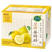 순작 모과 유자차 티백, 0.8g, 1개입, 120개
