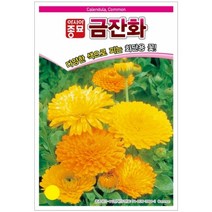 아시아종묘 꽃씨앗 금잔화 (500립), 1개