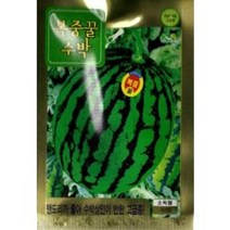 G 수박 복중꿀수박 씨앗 30립, 1개