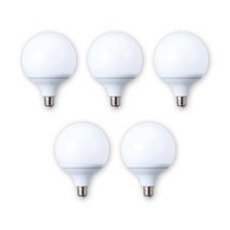 삼영전기 LED 볼 전구 E26, 주광색(하얀빛), [1등급]12W-숏타입, 5개