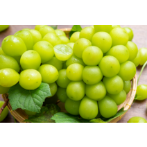 특급국내산 샤인머스켓 망고향 제철과일 상주샤인머스켓, 1개, 3kg