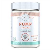 Alani Nu 알라니 누 펌프 스팀프리 운동 전 보충제 망고소르베 327g, 1개