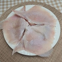 횟감용 간재미 1kg(1~3미)/급냉 자연산 간재미회/회실량 650g내외