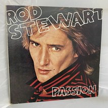 ROD STEWART LP / 엘피 / 음반 / 레코드 / 레트로 / C1788
