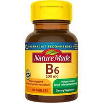 Nature Made 네이쳐메이드 비타민 B6 100mg 대사 건강 100개