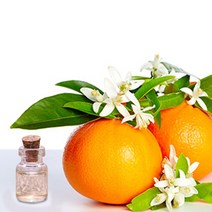 나스카코리아 오가닉 네롤리 에센셜오일 10ml 100ml 1L 비누만들기재료 DIY재료, 1개