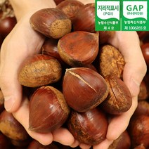 2023년 공주 정안면 햇 칼집밤 2kg 4kg 대사이즈 공주햇밤 손질밤 햇밤 정안밤 산지발송, 정안 칼집밤 대 2kg, 1개