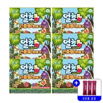 해태 NEW 얼초 얼려먹는 곤충 젤리만들기 20g 묶음행사+사은품증정, 6개