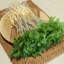 스마트팜 수경재배 새싹인삼 특대 50뿌리, 기본포장