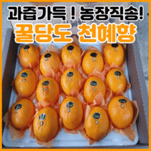 시즌앤홈 제주 프리미엄 고당도 천혜향 3kg 5kg 가정용 선물용, 천혜향 선물용(고급) 5kg