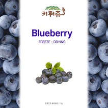큐브형 동결건조 키위/호박/산딸기 15g, 키위