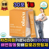차전자피 가르시니아 여자 체지방 감소 복부 다이어트 탄수화물 차단제 술배 똥배 윗배 분해 아랫배 아래뱃살 상체살 허리살 팔뚝살 HCA 식 약 청 보조제 뱃살 옆구리살 살 빼는 방 법