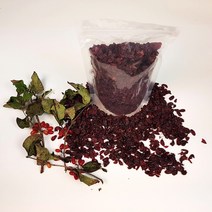구례 평촌마을 산수유즙 효능 먹는법 액기스 진액 산수유건피, 산수유건피 500g x 1봉