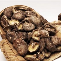 건표고버섯(동고) 200g, 상세페이지 참조, 상세페이지 참조