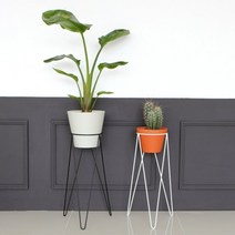 기타 바보사랑[럼버잭]플랜트스탠드 베이직M, 핀베이직M화이트