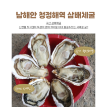 삼배체굴2kg/4~6미 내외
