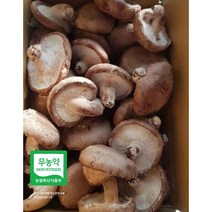 [예산표고버섯] 산지직송 예산표고버섯 못난이 생표고버섯 가정용으로 추천 다시용 가루용 대량용 육수용 김정용 식당용 건조용 농장직송, 못난이-10kg