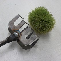 밤 나무 따는 도구 열매 수확 수거기 호두 농기구, 한개옵션0
