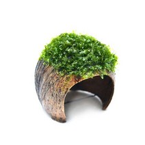 수초코코넛 은신처 물미역모스 활착수족관 어항꾸미기 170004