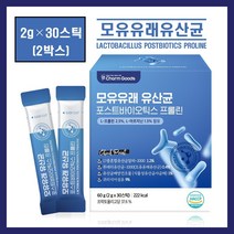 식약처인증 모유유래 유산균 분말 가루 스틱 비엔알17 bnr17 포스트바이오틱스 프롤린 락토바실러스 루테리 유산균 랩틴 식욕 체지방 뱃살 장 영양 건강 식약청 해썹 HACCP 추천, 2박스, ##영에버그린## (2g×30스틱)