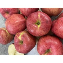 사과 홍로 가정용 2kg 3kg 5kg 청송 상주, 1개, 홍로 사과 중과(로얄과) (17-22과) 5kg