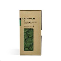 비오스 스칸디아모스 천연이끼 공기정화식물-500g, 5번 모스그린