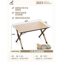 아웃도어 접이식 테이블 알로이 에그롤 캠핑 여행 휴대용 의자 용품 대전, 【90*60CM】알루미늄  테이블-(수납봉투 배달)