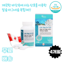 요호 칼슘 마그네슘 아연 비타민 D 복합제 120정 코랄칼슘 산호칼슘 소성칼슘 캐나다직수입 산화마그네슘 2:1배합 여성 청소년 임산부 노인 부모님 선물 CAL Mg Zn 중장년층, 1통