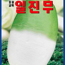 [가람종묘사] 일진무 씨앗(적기파종후 65일이면 수확되는 중조생종 가을무 품종)