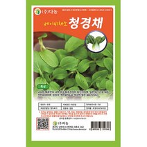베이비샐러드청경채씨앗 10g CU, 없음, 단품