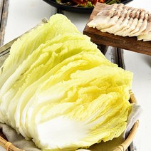 해남 알배추 쌈배추 6통 12통, 해남 알배추 6통 4~5kg 내외