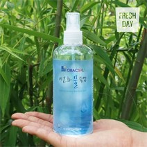 프레시데이 깔끔한 짠맛 신안 프리미엄 이온화 물죽염 1병x300ml, 이온화 물죽염/1병
