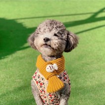 강아지 목도리 애견 겨울 머플러 손뜨개 니트 케이프 고양이 반려견 반다나 넥 워머, L, 머스터드
