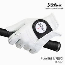 스포츠_ 타이틀리스트 PLAYERS 플레이어스 양피 골프장갑 남성, 선택완료