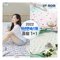 [리브맘] 쿨매트 중형 1+1 60x90, 선택:선인장