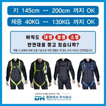 동현테크 [세계 최초 프리사이즈 안전벨트] - 죔줄 1개 벨트X, Free-S-ES (형광색) 벨트X